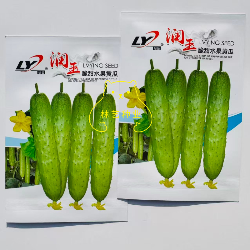 润玉脆甜水果黄瓜种子一代杂交瓜条顺直抗病性强产量高适应性