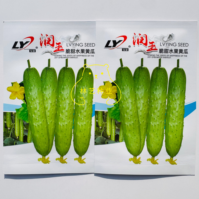 润玉脆甜水果黄瓜种子一代杂交瓜条顺直抗病性强产量高适应性