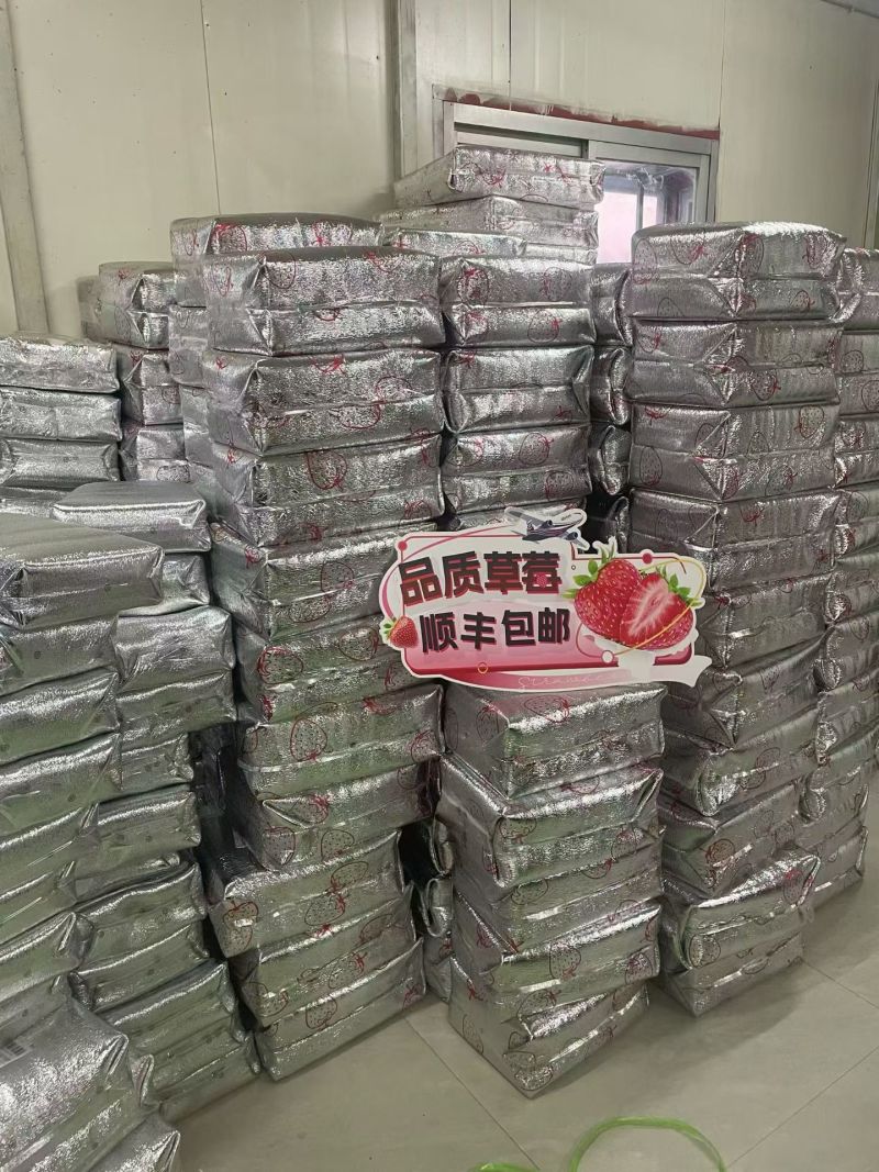 丹东东港九九草莓头茬大果果王礼盒包装甜度高水分足
