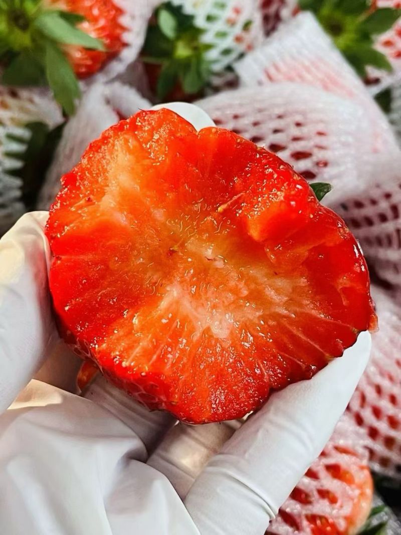 丹东东港九九草莓头茬大果果王礼盒包装甜度高水分足
