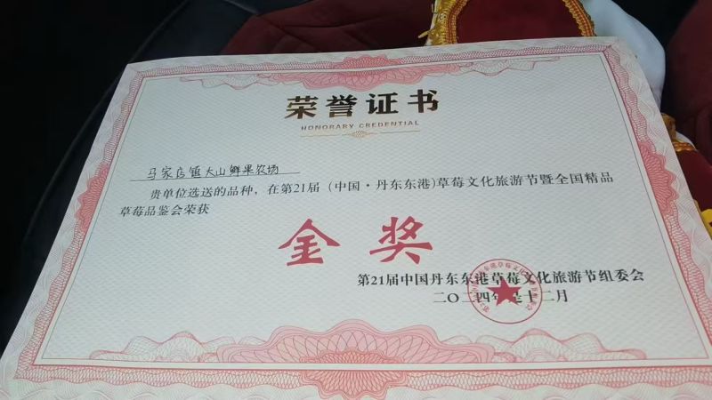 丹东东港九九草莓头茬大果果王礼盒包装甜度高水分足