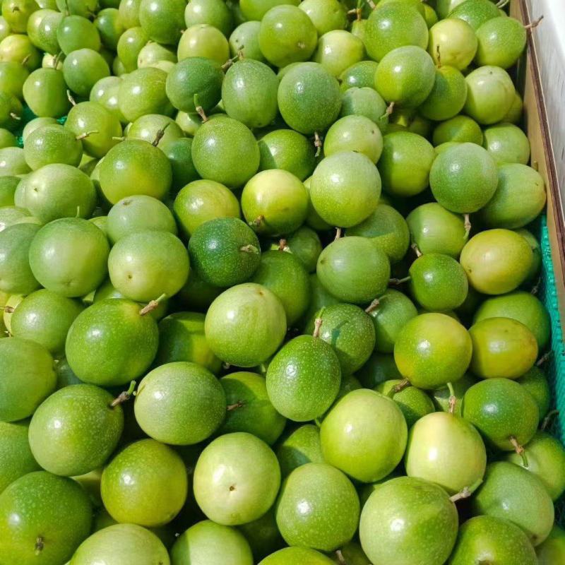 黄金百香果