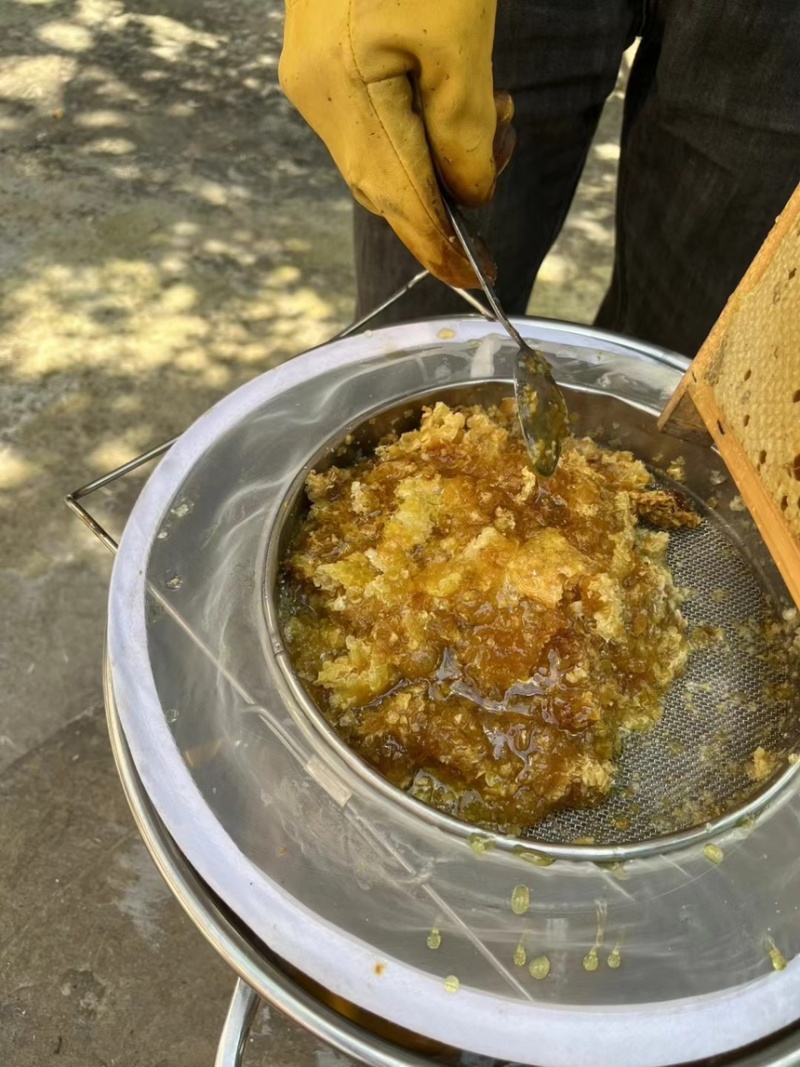 老家养的土蜂蜜，一年取一次，数量有限，农村白花蜜