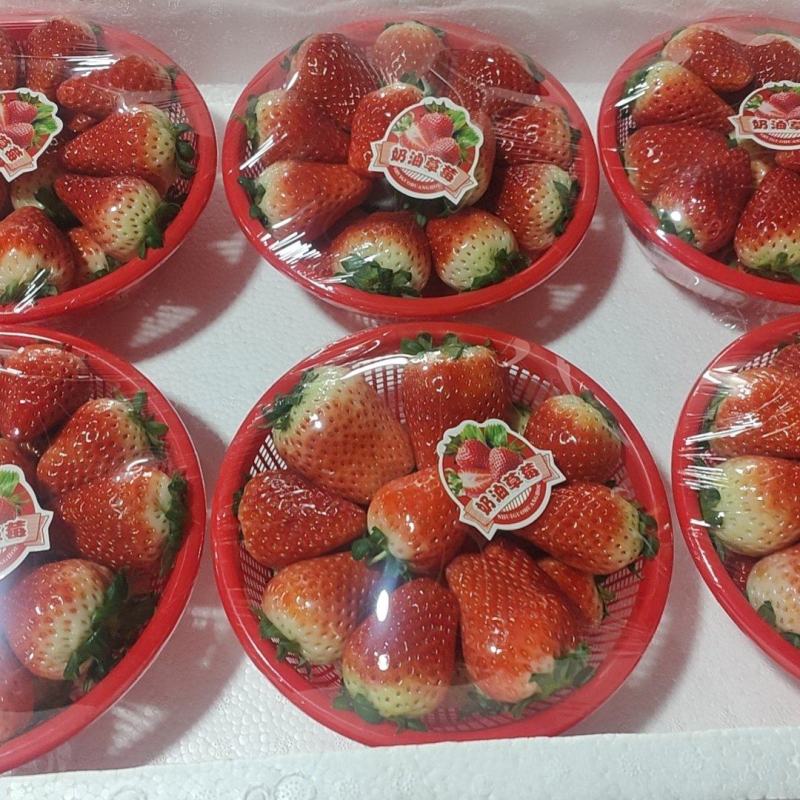奶油草莓货源充足