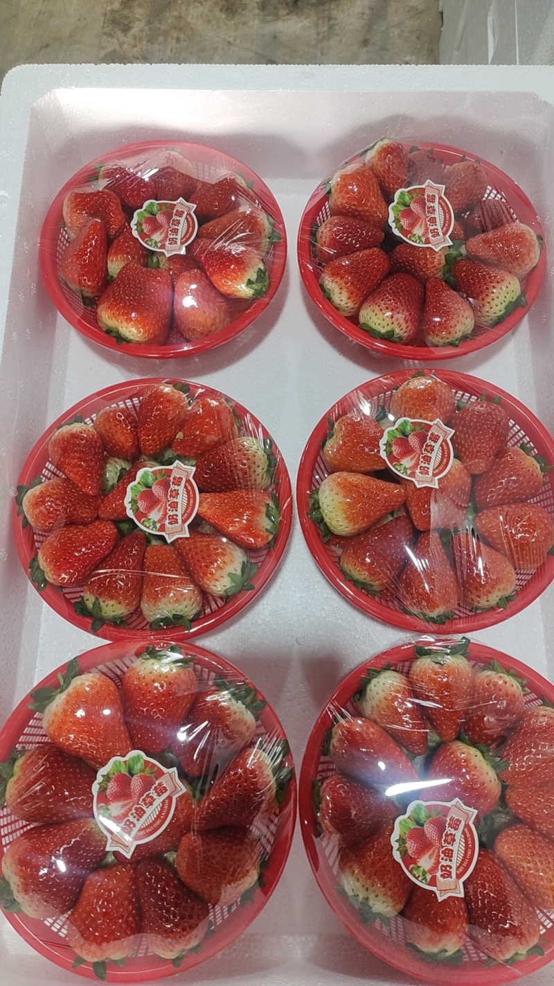 奶油草莓香野草莓九香草莓