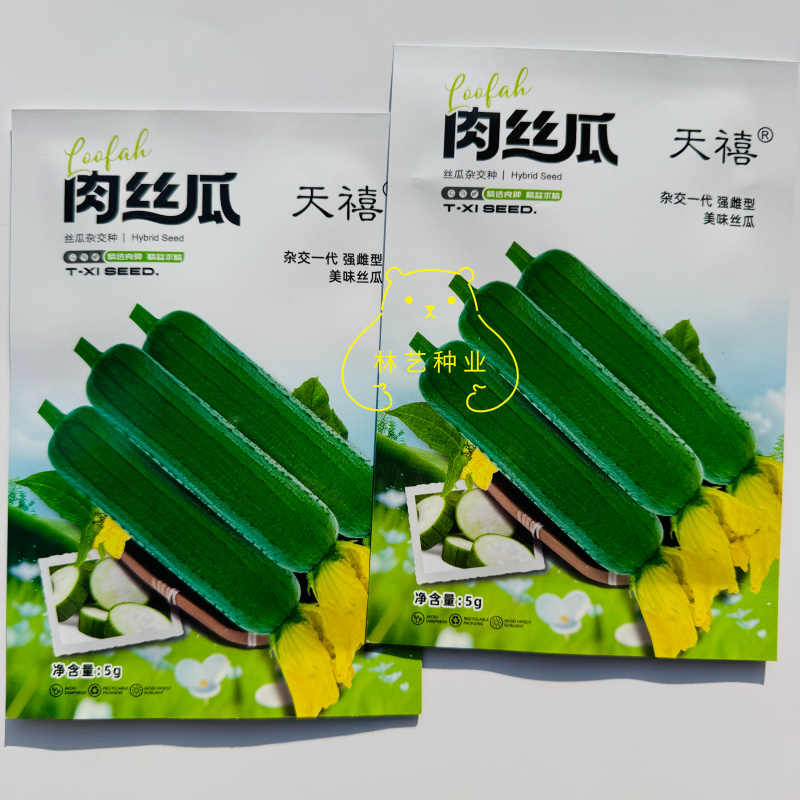 天禧肉丝瓜种子杂交一代早熟长棒肉丝瓜种子强雌型嫩绿肉丝瓜
