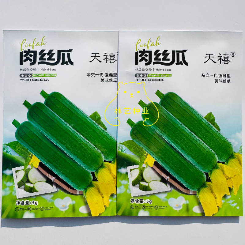 天禧肉丝瓜种子杂交一代早熟长棒肉丝瓜种子强雌型嫩绿肉丝瓜