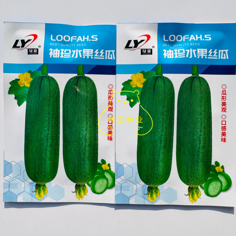 袖珍水果丝瓜种子中熟杂交短棒瓜皮翠绿光泽度好口感清甜