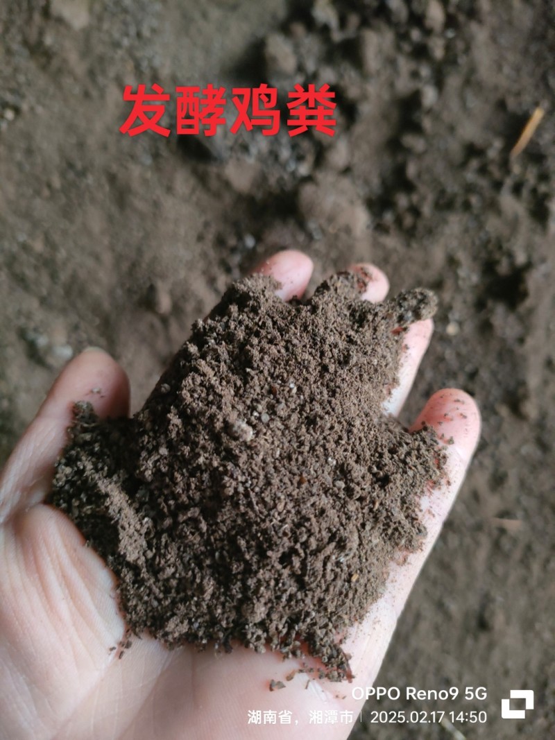 湖南鸡粪发酵鸡粪有机厂家直供品质好量大从优联系