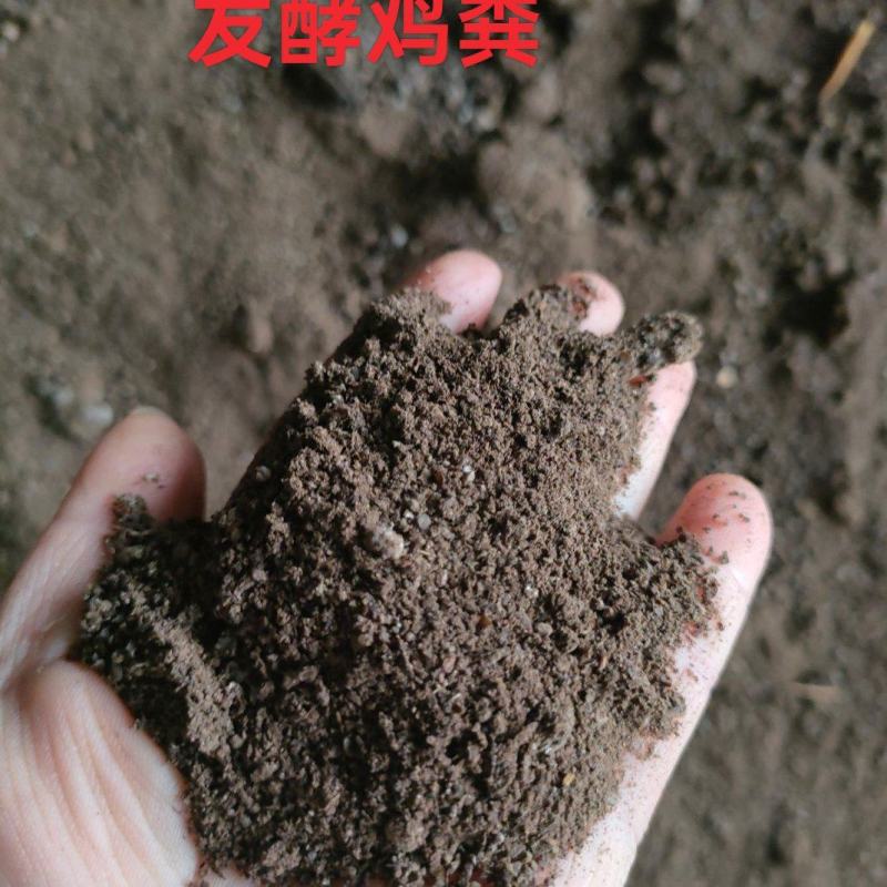 湖南鸡粪发酵鸡粪有机厂家直供品质好量大从优联系