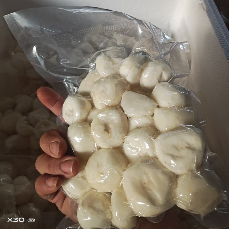 马蹄精品