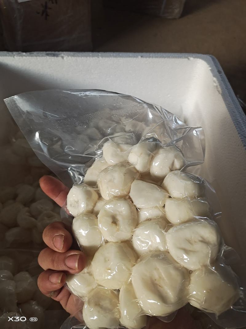 马蹄精品