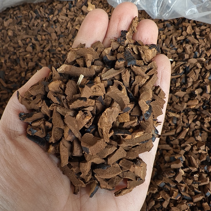 灵芝茶灵芝丁不苦，菌香味浓产地直发新货大量供应