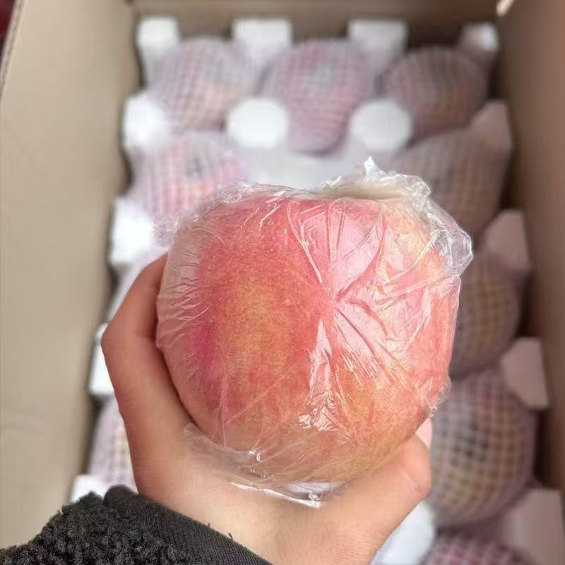 精品山西红富士苹果