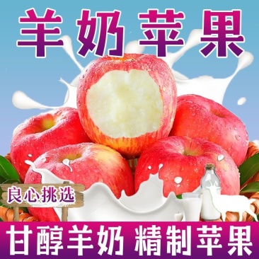 精品山西羊奶苹果脆甜多汁