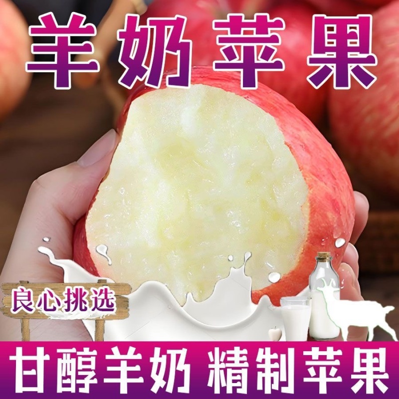 精品山西羊奶苹果脆甜多汁