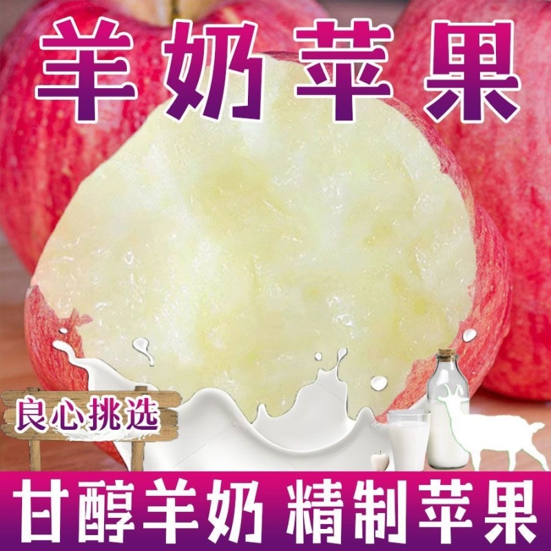 精品山西羊奶苹果脆甜多汁