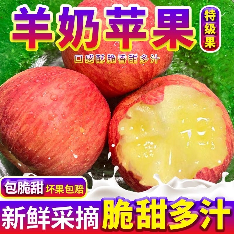 精品山西羊奶苹果脆甜多汁