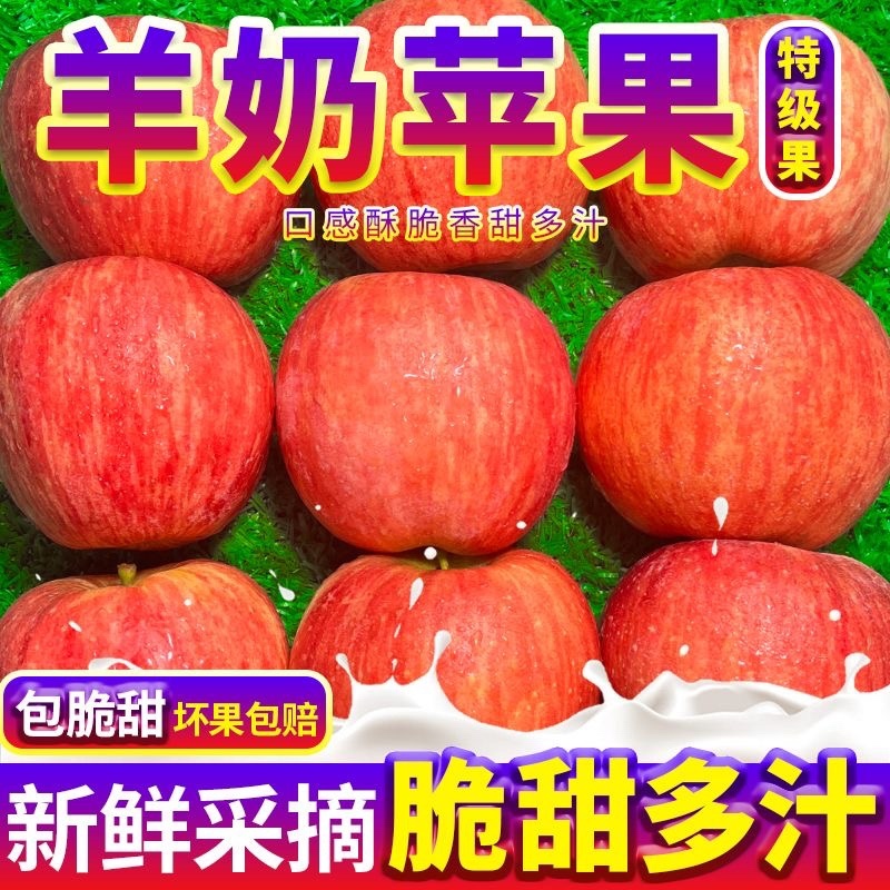 精品山西羊奶苹果脆甜多汁