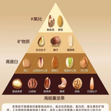 东阳香榧