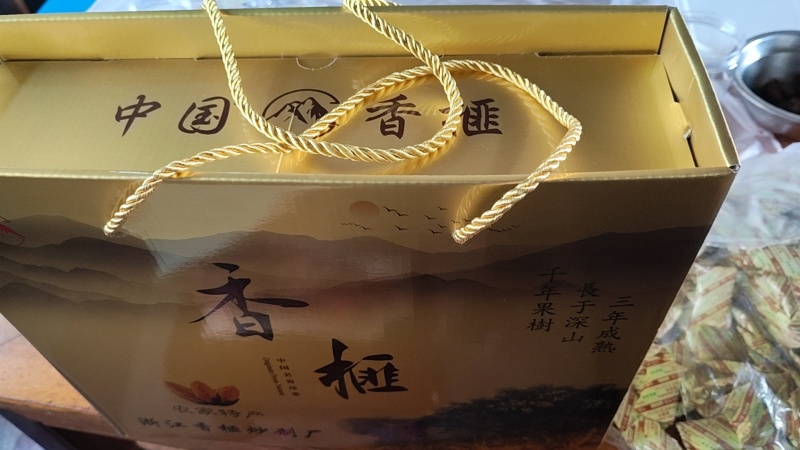 东阳香榧