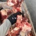 谷饲带肉牛前腿骨