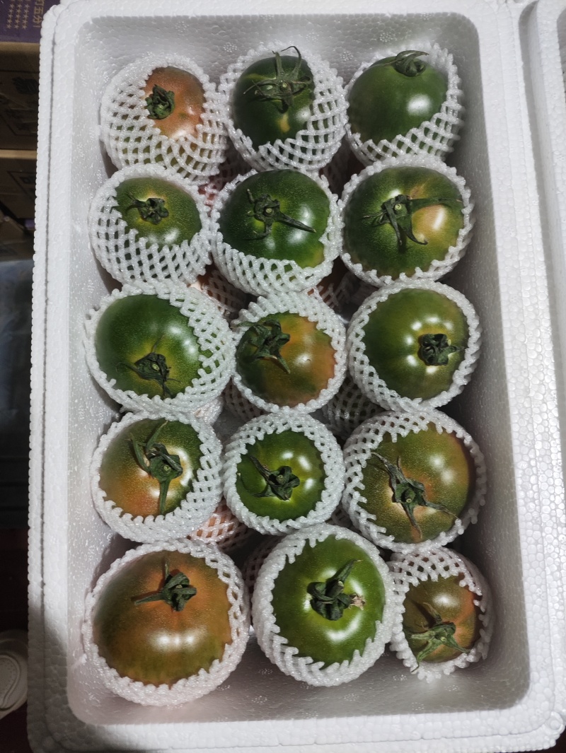 草莓西红柿铁皮柿子鹰爪柿子现摘现发酸甜可口