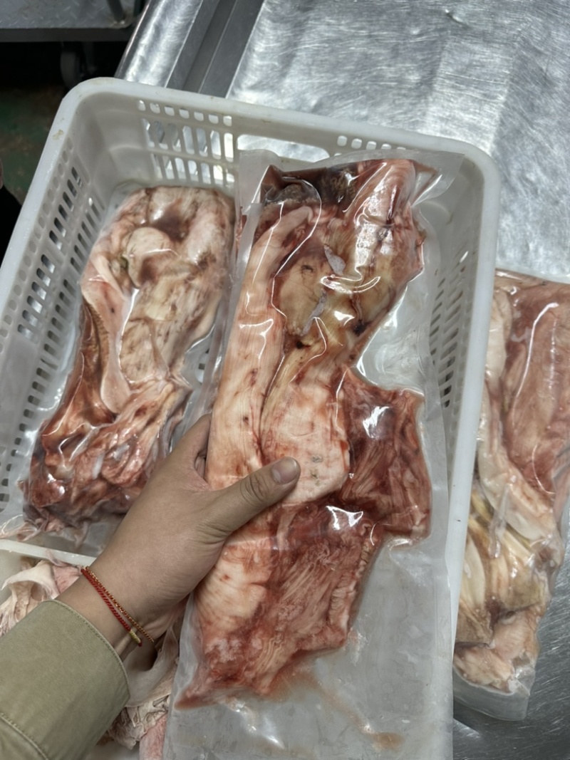 龙趸石斑鱼肚1000克以上