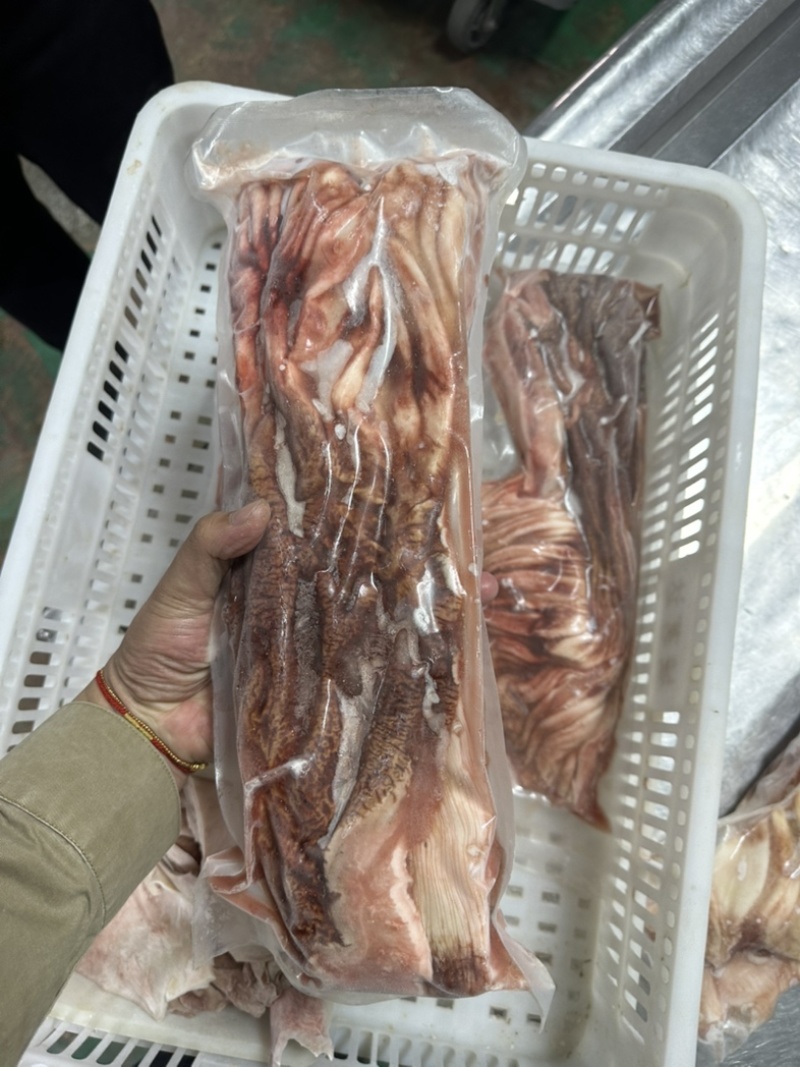 龙趸石斑鱼肚1000克以上