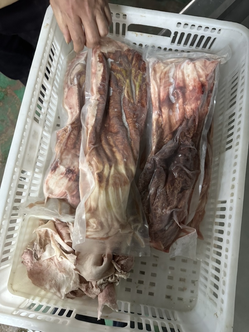 龙趸石斑鱼肚1000克以上