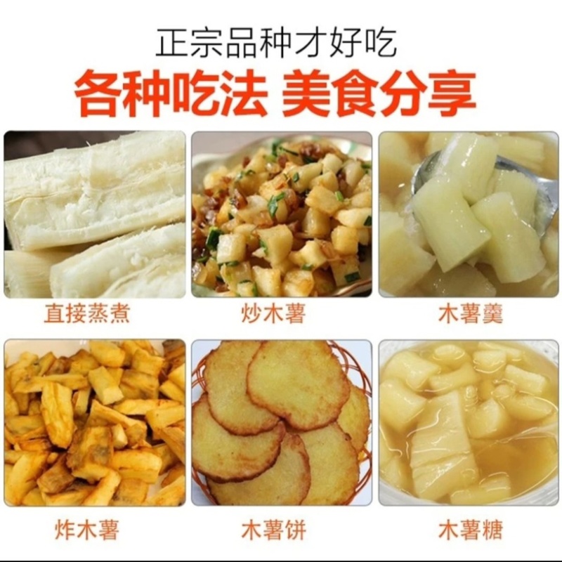 广西去皮白肉面包木薯