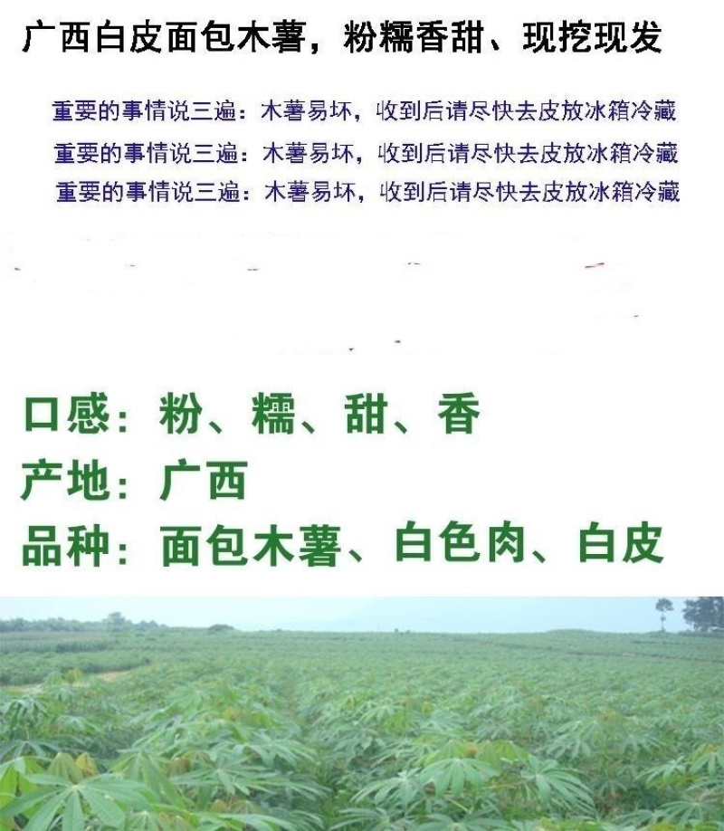 广西去皮白肉面包木薯