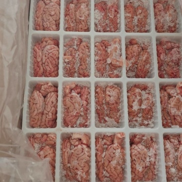 双汇猪脑花，品质很好，火锅，餐馆，酒店，超市均可