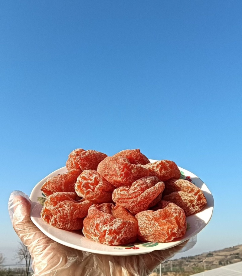 富平庄里正宗柿饼加一赔十