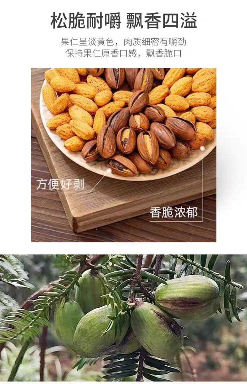 东阳香榧