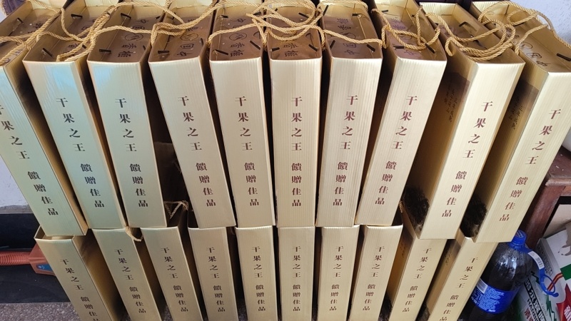 东阳香榧