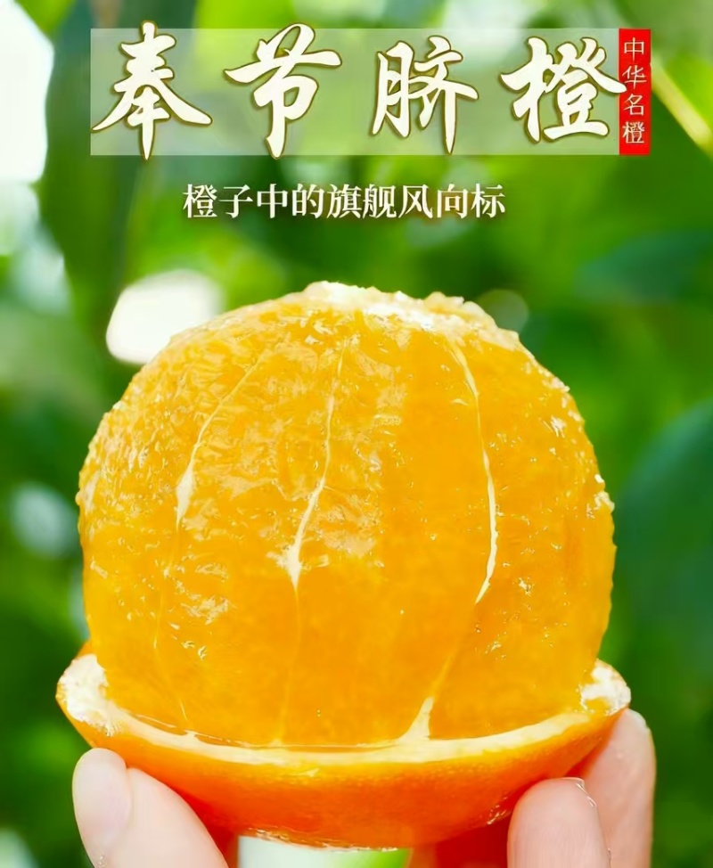 奉节脐橙。自家果园，不打蜡，不催熟不打甜蜜素的优质好果。