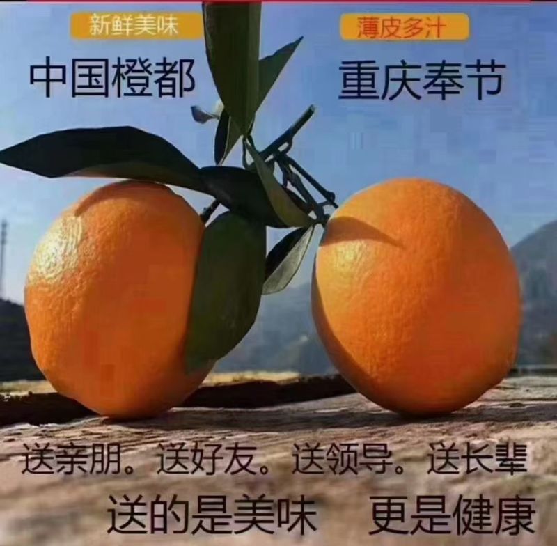 奉节脐橙。自家果园，不打蜡，不催熟不打甜蜜素的优质好果。