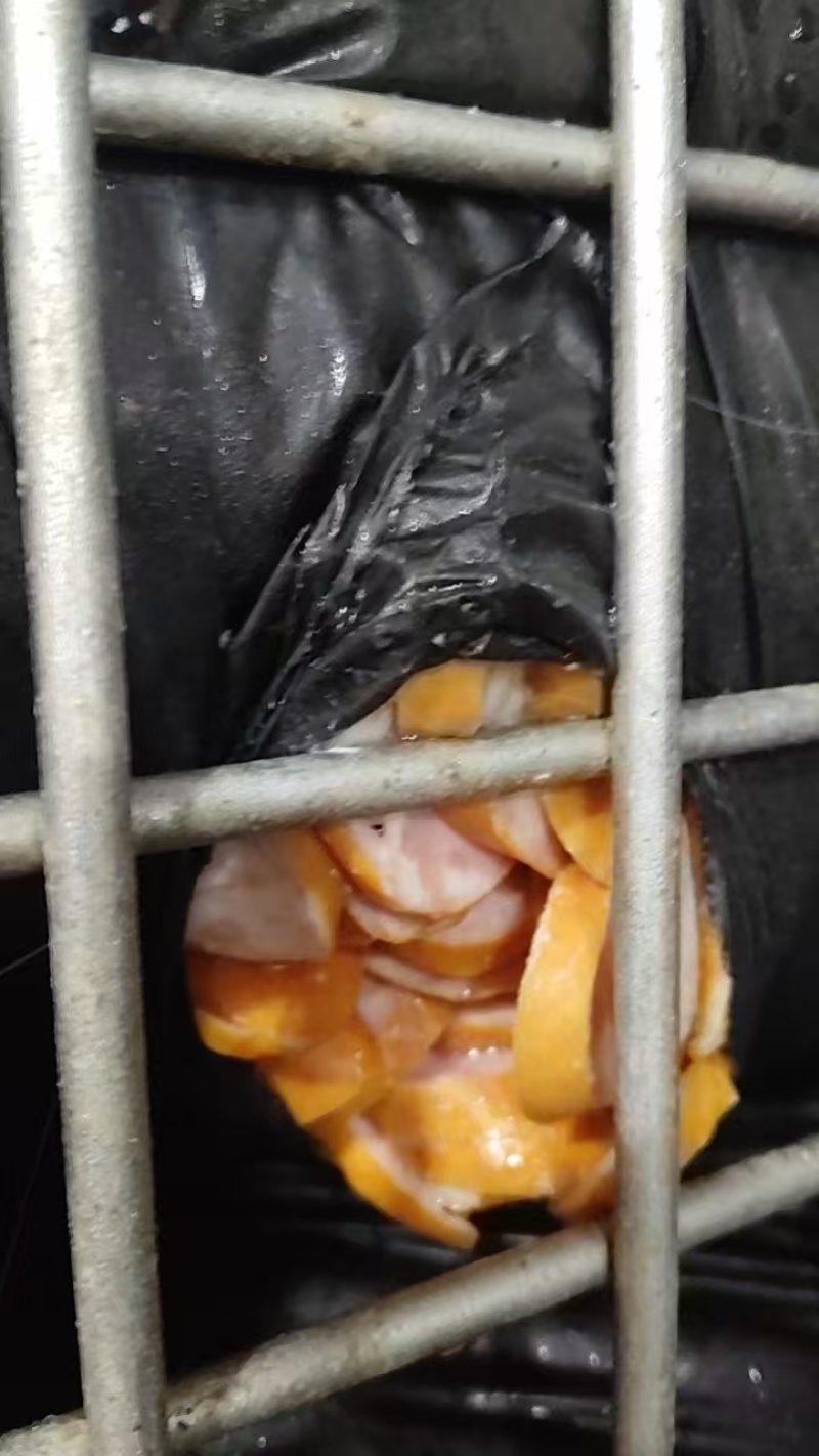 培根肉下角料