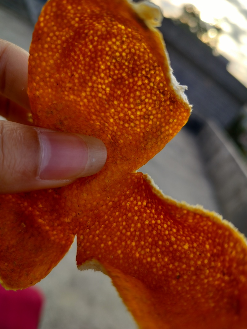 广西浦北产地直发当年新大红陈皮零售批发均可欢迎联系采购