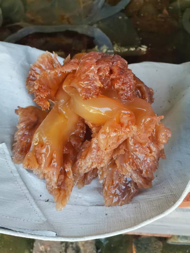 这个海蜇头，有需要的老板可以咨询