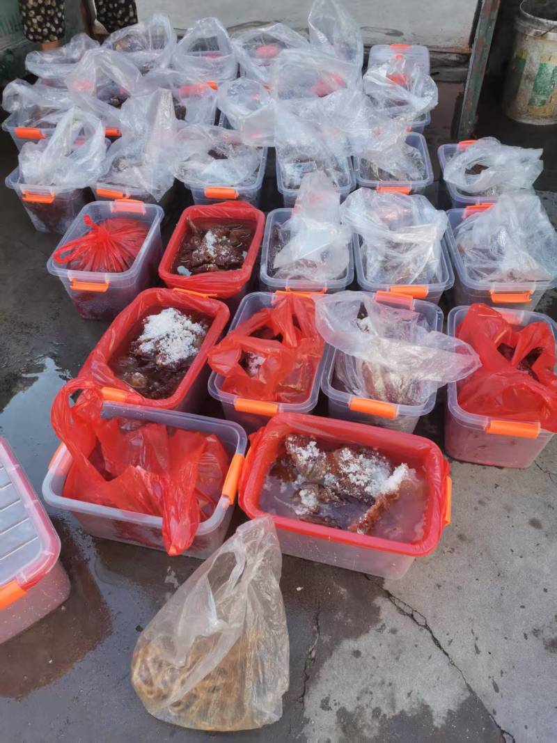 这个海蜇头，有需要的老板可以咨询