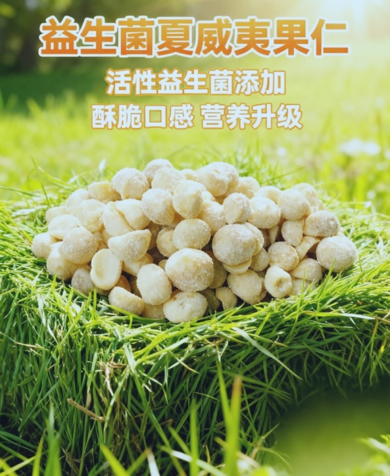 奶香味夏威夷果仁无壳