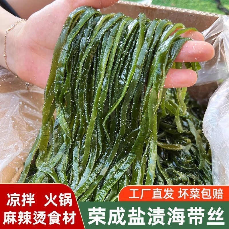 【地标授权】盐渍海带丝新鲜海带凉拌菜火锅麻辣烫商用食