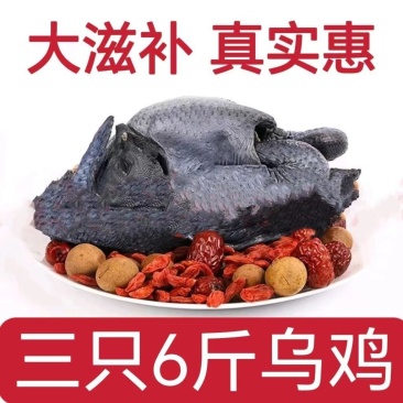 农家散养乌鸡新鲜现杀乌骨鸡鸡肉整只