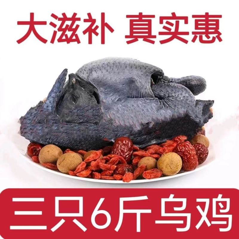 农家散养乌鸡新鲜现杀乌骨鸡鸡肉整只