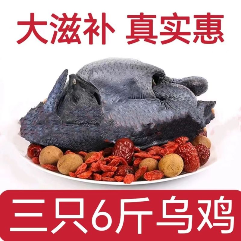 农家散养乌鸡新鲜现杀乌骨鸡鸡肉整只