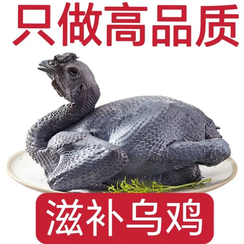 农家散养乌鸡新鲜现杀乌骨鸡鸡肉整只