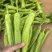 雷州黄皮尖椒、牛角尖椒，大量供应，欢迎来电咨询！