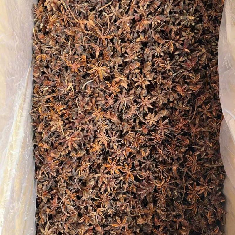 老树八角广西古龙深山野生有机无污染绿色大红八角足干无硫